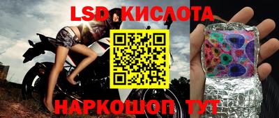 скорость Кингисепп