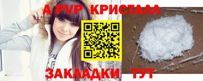 скорость Кингисепп
